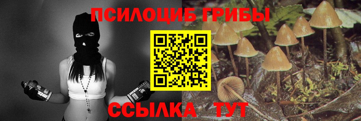 Ростов Великий  Галлюциногенные грибы прущие грибы  Вход с VPN  Псилоцибиновые грибы мицелий 