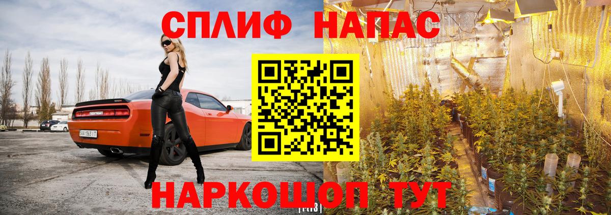 Ростов Великий  Марихуана MAZAR  Вход с VPN  Бошки марихуана MAZAR  МАРИХУАНА LSD WEED 